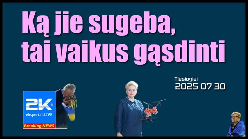 Į LT įskridusio drono smegenys sutriko, todėl įvykdęs užduotį, jis negrįžo į Baltarusiją