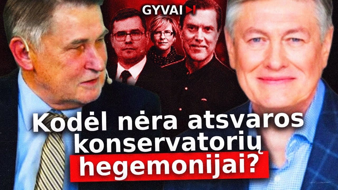 Sisteminis monopolis: konservatorių dominavimo anatomija – kodėl visada jie?
